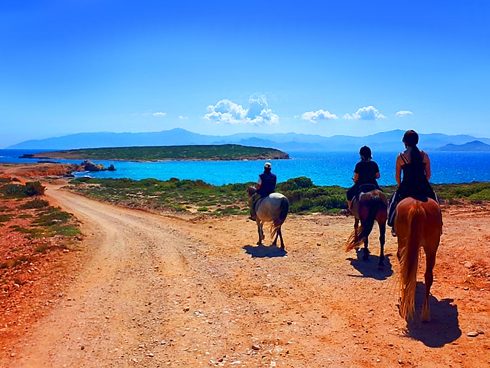 ESCURSIONI A CAVALLO IN GRECIA
