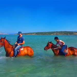 escursioni acavallo sulla spiaggia