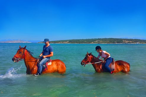 escursioni acavallo sulla spiaggia