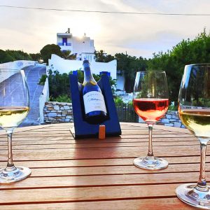 Degistazioni Vino PAROS