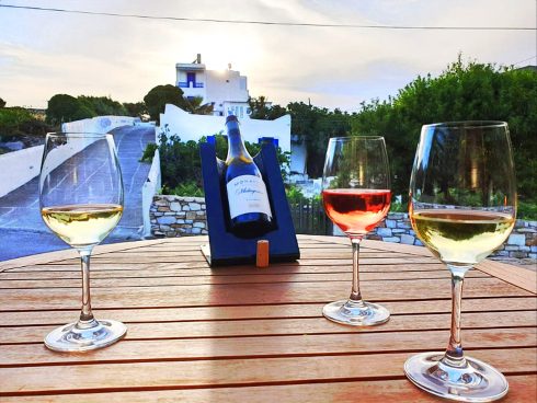 Degistazioni Vino PAROS